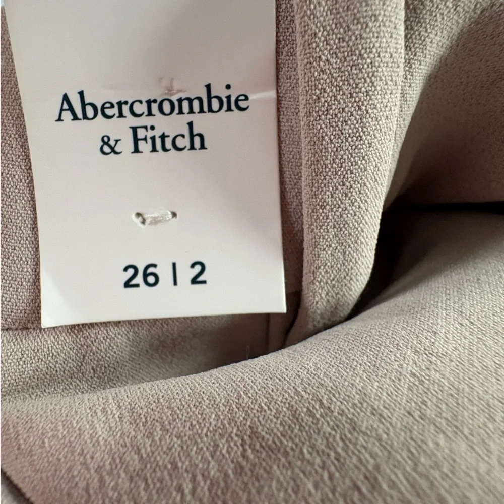 Abercrombie & Fitch Sloane Tailored Wide Leg Pant NWT Taupe Sz 26/2 - Picture 8 of 16